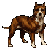 fenerlipitbull's profile image