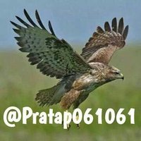 द. ईगल (@pratap061061) 's Twitter Profile