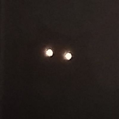 boo_spookytime's profile picture. 