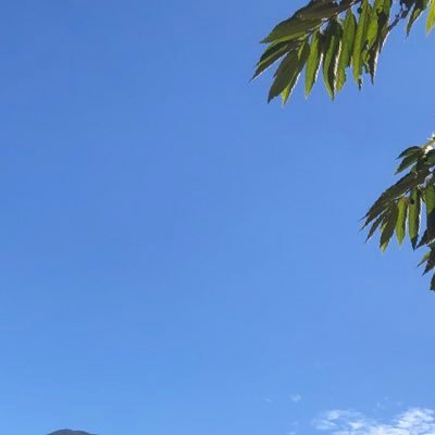 Kaykaylalala_'s profile picture. 