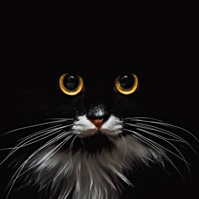 fx__beginner_un's profile picture. 裏垢