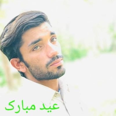 SaeedZegar's profile picture. News