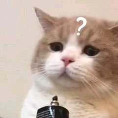 tw467929's profile picture. 