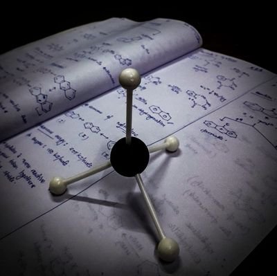 SahilRa67670549's profile picture. nothing great