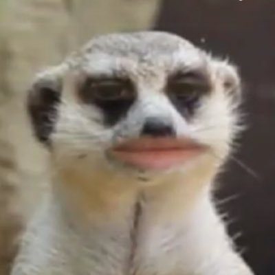 yakjangE's profile picture. 이제 여기는 걍 알티계인편
이사했음니다