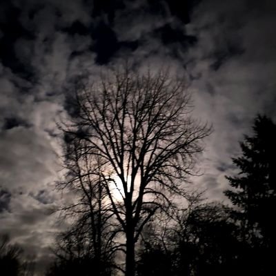 Michell67571902's profile picture. 