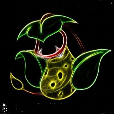 Bellsprout enthusiast 🌱 | 2.3M Collector | Twitch Affiliate | 🇺🇸 🇬🇧