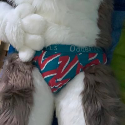 Underwear account of @ItsHarryHusky - Ace/Bi-Romantic - Strictly non-sexual & non-suggestive - just a dog chillin’ in undies. DO NOT repost content from here.