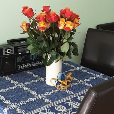 Els33161367's profile picture. 