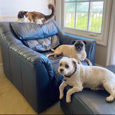 Emilyf250's profile picture. 