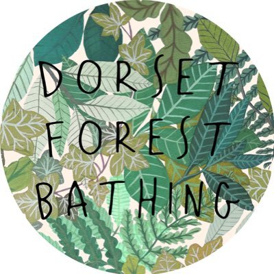 Bringing Forest Bathing to Dorset through conversation, information & guided events. Encouraging a deep connection with nature through sensory exploration.