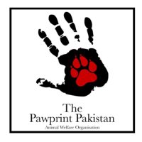 The Pawprint Pakistan - Welfare Organisation (@pawprintpak) Twitter profile photo
