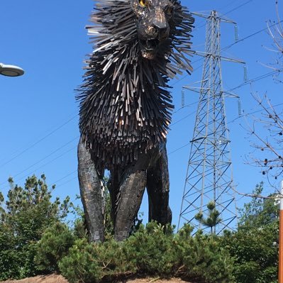 Prof_PFleming's profile picture. Retired academic enjoying some elements of life back in Northern Ireland