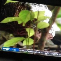 Hass ohne Hetze (@tob_od) 's Twitter Profile Photo