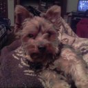 Andy Hook - @wannabepriest - Twitter