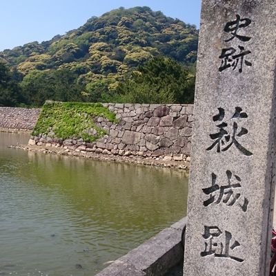 nipoさんのプロフィール画像
