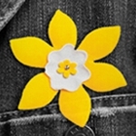 Canadian Cancer Society Mississauga Unit