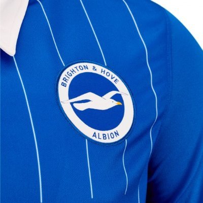 Brighton fan stuck in Brisbane