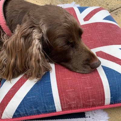 Manufacturer of bespoke upholstered furniture. Sofas, chairs, headboards & footstools made to order in our Newcastle workshop. Showroom open Tues-Sat 11-4