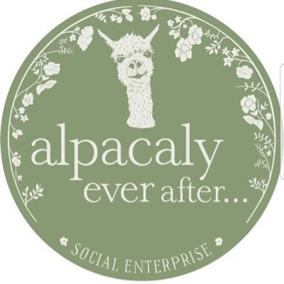 alpacaly Profile Picture
