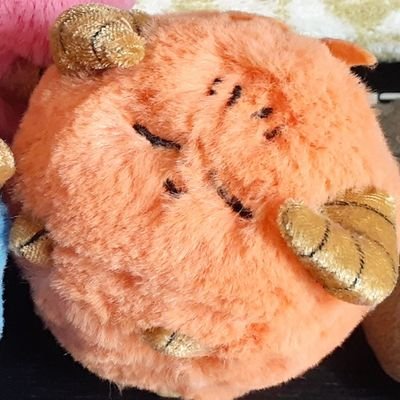 おちゃやさんのプロフィール画像