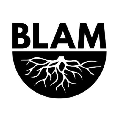 BLAMCharity Profile Picture