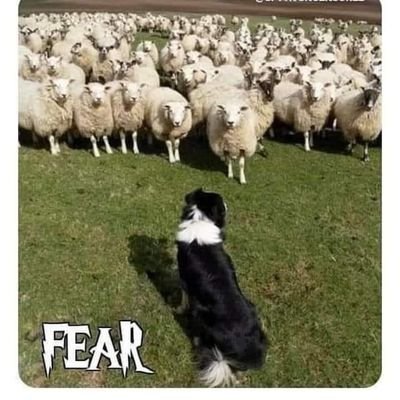 ingmmiranda's profile picture. https://t.co/krZKnDWwfu