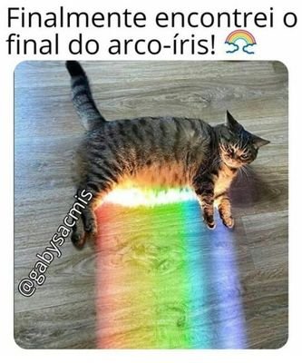 LGBTQIA+, 16 aninhos
(sou nova aqui não sei mexer em nada!🤧)