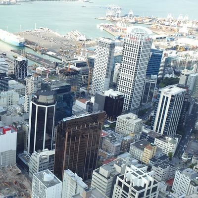 singularbuild's profile picture. Valora lo incalculable y publica lo singular