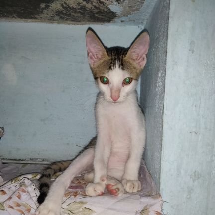 Unitrix101's profile picture. 