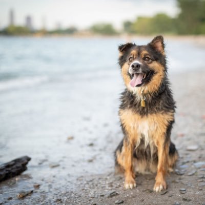 KRA1_MD's profile picture. PCCM Fellow @UNMHSC | Former Chief Resident at University Hospitals/CWRU