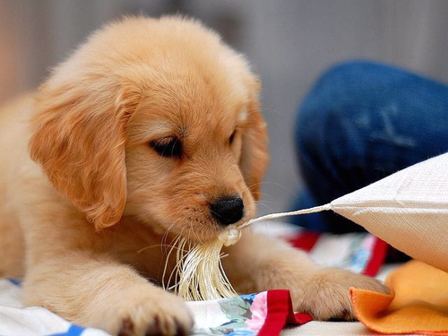 Korea_SeoulGirl's profile picture. 대한민국 서울사는 여자/맛집/강아지♥/영화/연극/뮤지컬/새끼고양이/트레이닝복