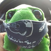 Honu mascot of the HSH!(@HHawkers) 's Twitter Profile Photo