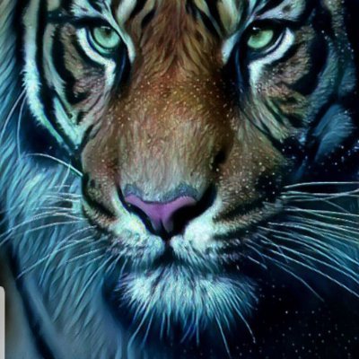 charankumar096's profile picture. 