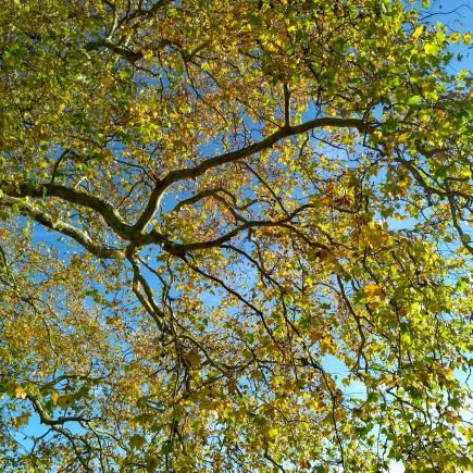 taniapsal's profile picture. 