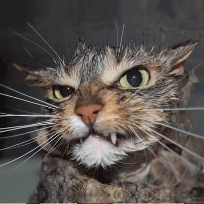 badfishie's profile picture. Doodler. Wargamer. Gamemaster. Software dev.