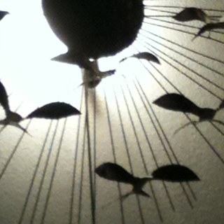 JackBecce's profile picture. a bio
