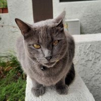 Linda_John Jw/Tj (@joebrrgn72) 's Twitter Profile
