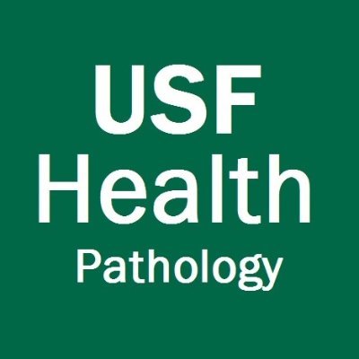 The official account for the University of South Florida Health Pathology Residency Program

Instagram: https://t.co/euMzS52Lfm