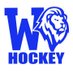 Woodbury Girls Hockey (@WBGirlsHockey) Twitter profile photo