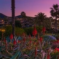 geeta1devan's profile picture. 