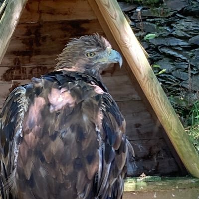 Bastienruquet's profile picture. En quête du savoir