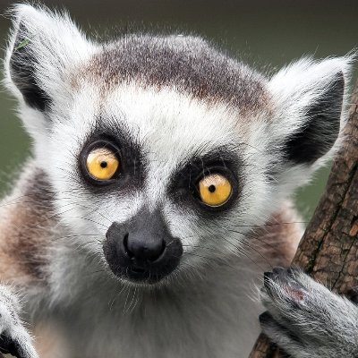 Choumou6's profile picture. 