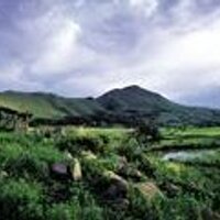 Dullstroom Daily (@dullstroomdaily) 's Twitter Profile