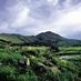 Dullstroom Daily (@dullstroomdaily) Twitter profile photo Dullstroom Daily (@dullstroomdaily) Twitter profile photo