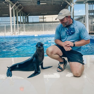 How Old is Sea Lion Bryan