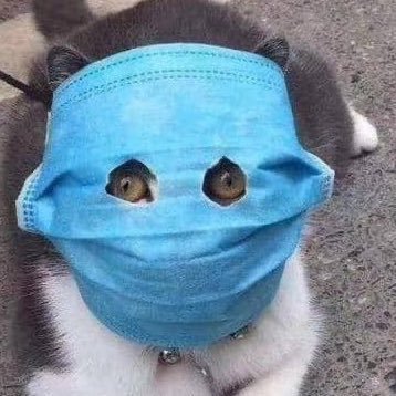 مطاط #لاجىء سياسي