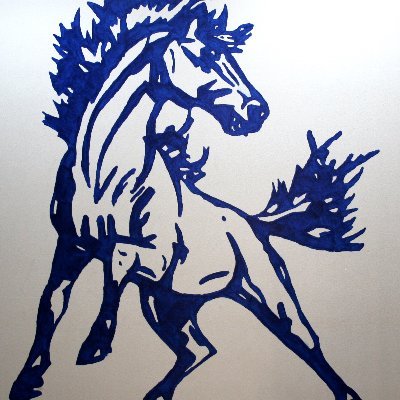 jungersd's profile picture. PK-8 Principal at Newell-Fonda CSD