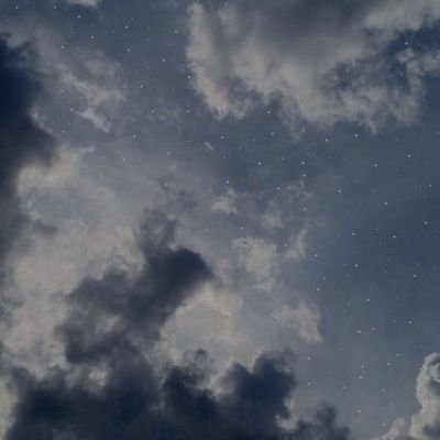 n0onee0's profile picture. nobody