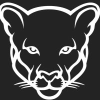 Antwine Middle School Orchestra (@cougarorch_ams) 's Twitter Profile